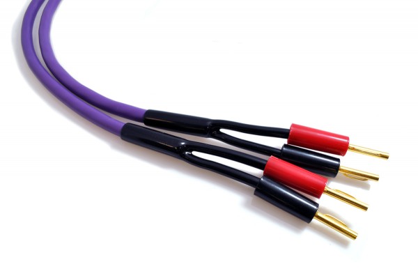 Purple Rain Lautsprecher-Kabel mit BassCore Technologie MDSC1530 2 x 1,5 mm2, 2 x 3 m, vergoldete Ba