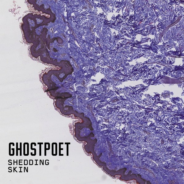 Ghostpoet ‎– Shedding Skin LP