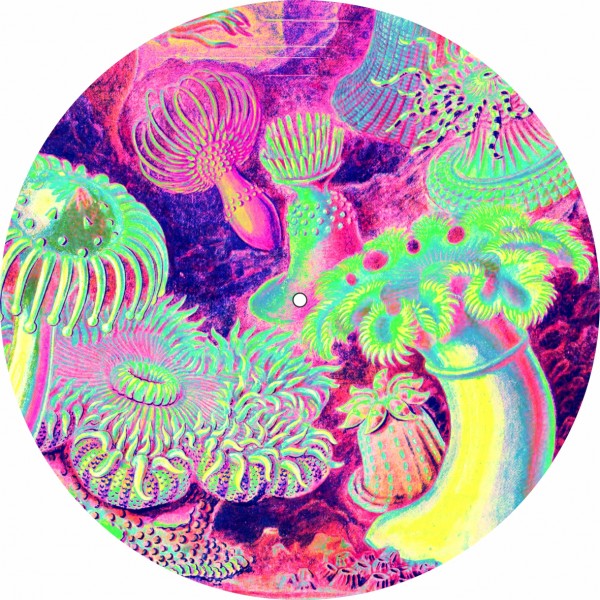 Slipmat Mushroom Power